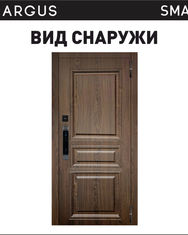 Аргус СМАРТ МАГИСТР — входная дверь, Argushop