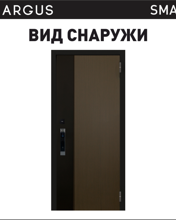 Аргус СМАРТ РОКСИ — входная дверь, Argushop