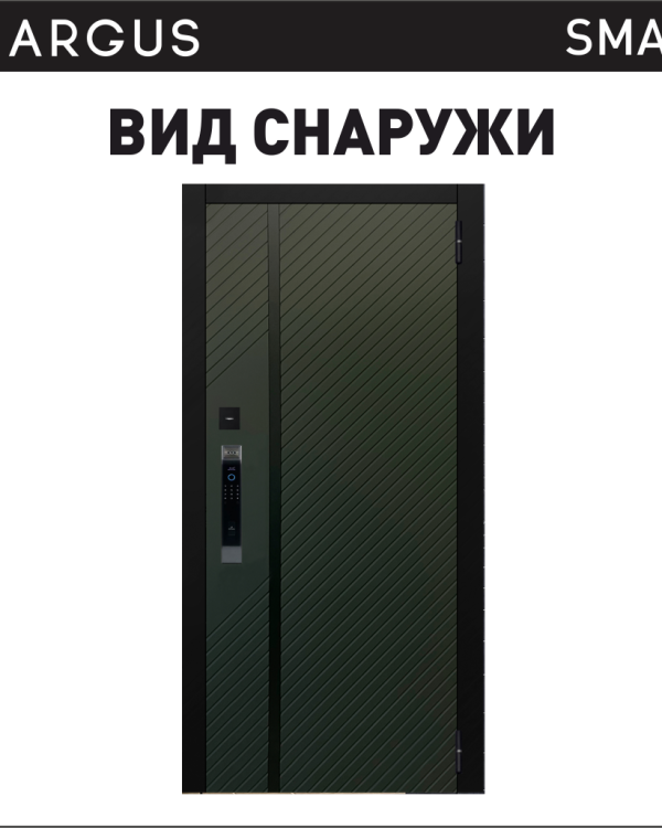 Аргус СМАРТ ЛАНЦЕТ ОЛИВА — входная дверь, Argushop